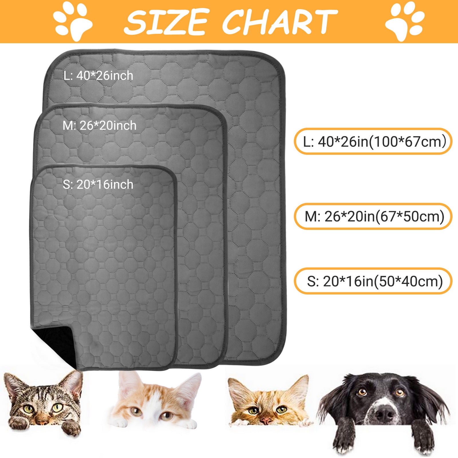 Pet mojo hotsell pee pad