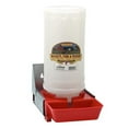 thumbnail image 1 of Little Giant 1-Gallon Impact Resistant Translucent Polyethylene Piglet Waterer, 1 of 2