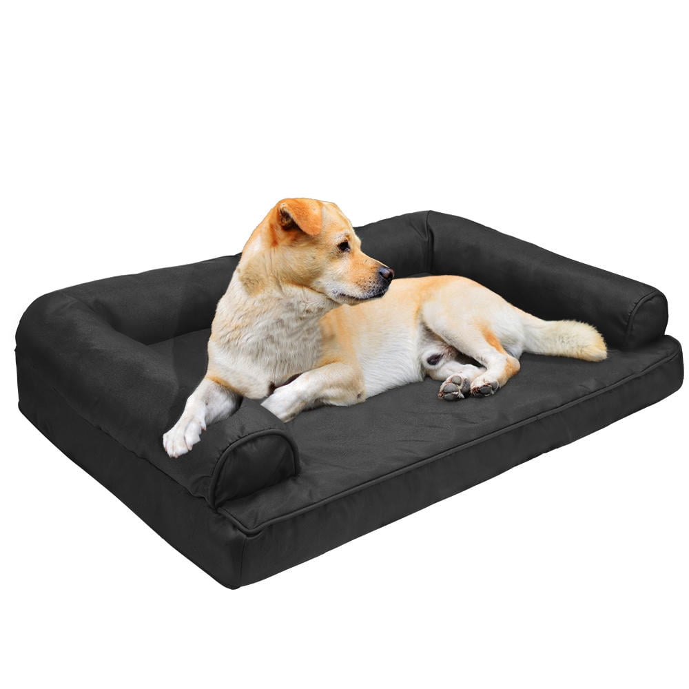 gray dog couch