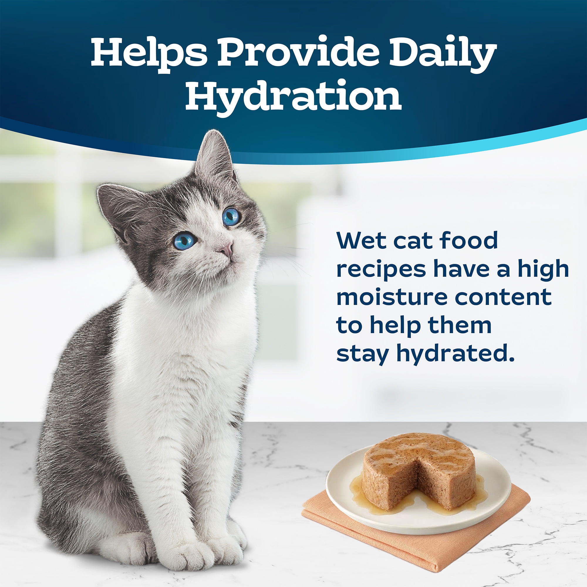 Dry cat food with high moisture content hot sale