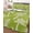 Chartreuse, Olive, variant on Quilt King Size Bedding Set, Palm Trees Pineapples Reversible Summer Quilt 3 Pieces, Blue Tropical Coastal Plants Lightweight Bedspreads Coverlets with 2 Pillow Shams for All Seasons