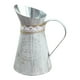 thumbnail image 1 of Jarra de hierro vintage con regadera y estilo shabby chic para decoración del hogar., 1 of 6