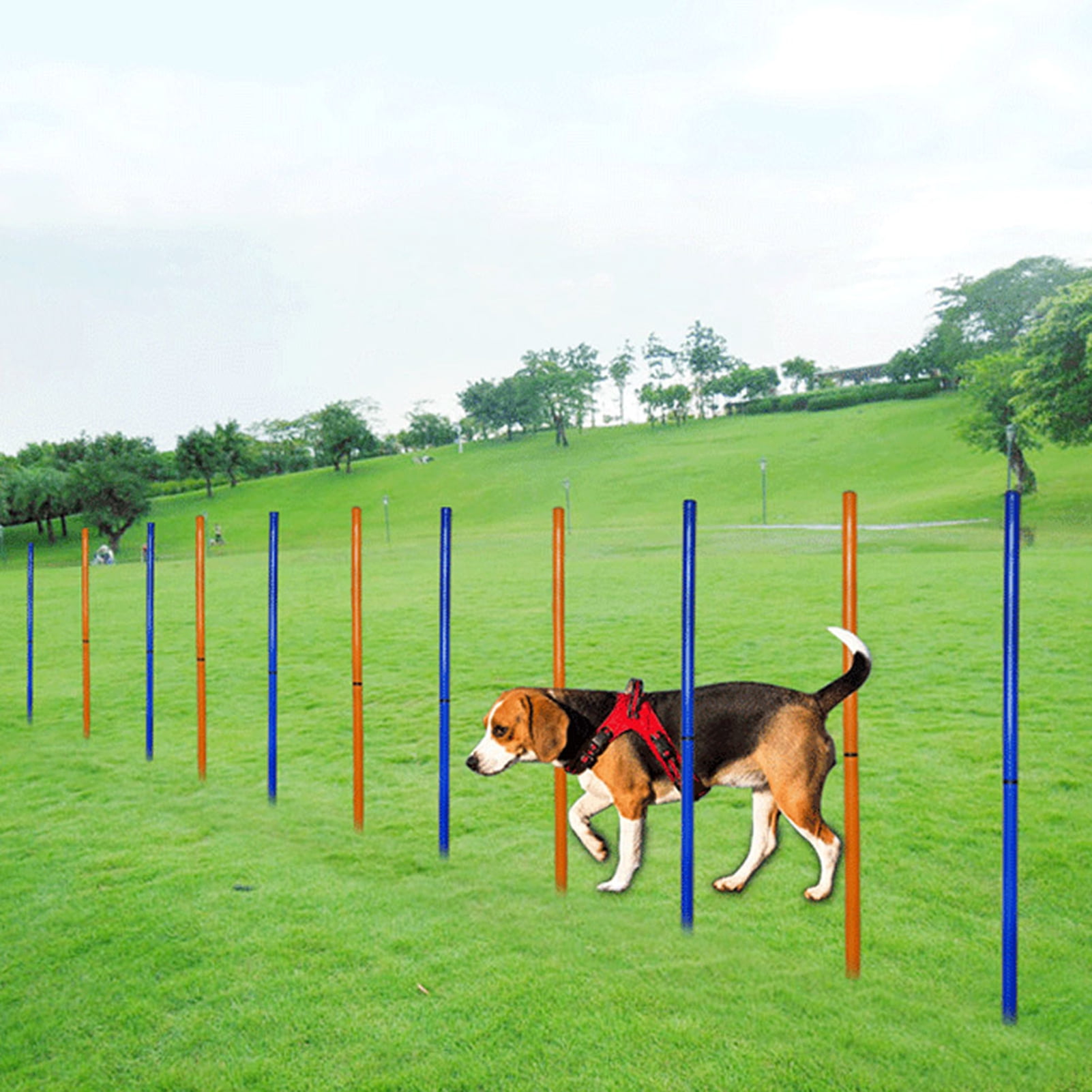 Adjustable Height Pet Dog Agility Training Barrier Rod, Portable and Durable with Lightweight Design for Outdoor Sport