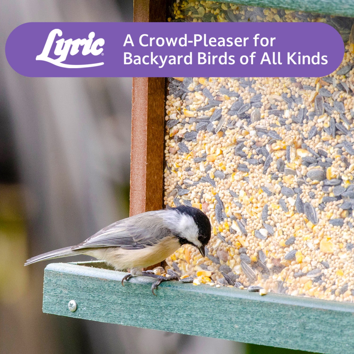Lyric Wild Bird Mix Bird Seed, Bird Food for Outside Feeders - 40 lb. Bag