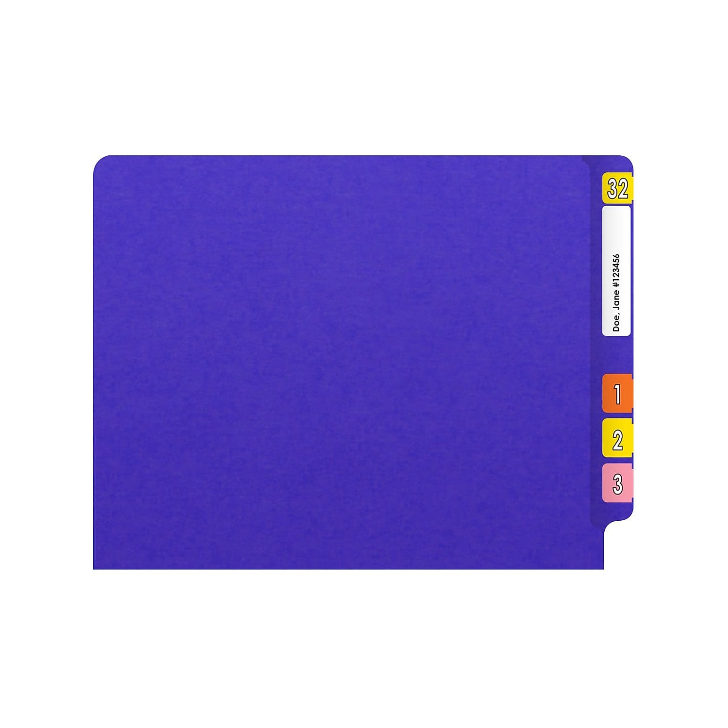Medical Arts Press Heavy-Duty End Tab File Folder Straight Cut Letter-Size Purple 40/Box