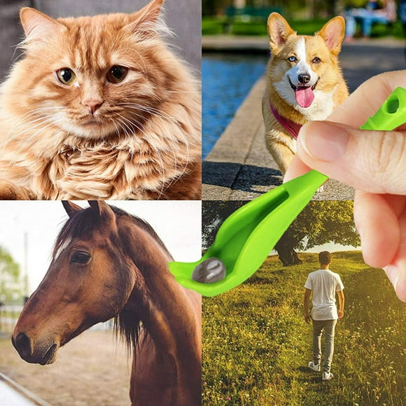 Non-Toxic Tick Removal Tool for Humans & Pets - 2 Sizes Safe & Effective, Plastic Flea Scratcher Hook with Twist Design (Green, 2-Pack)