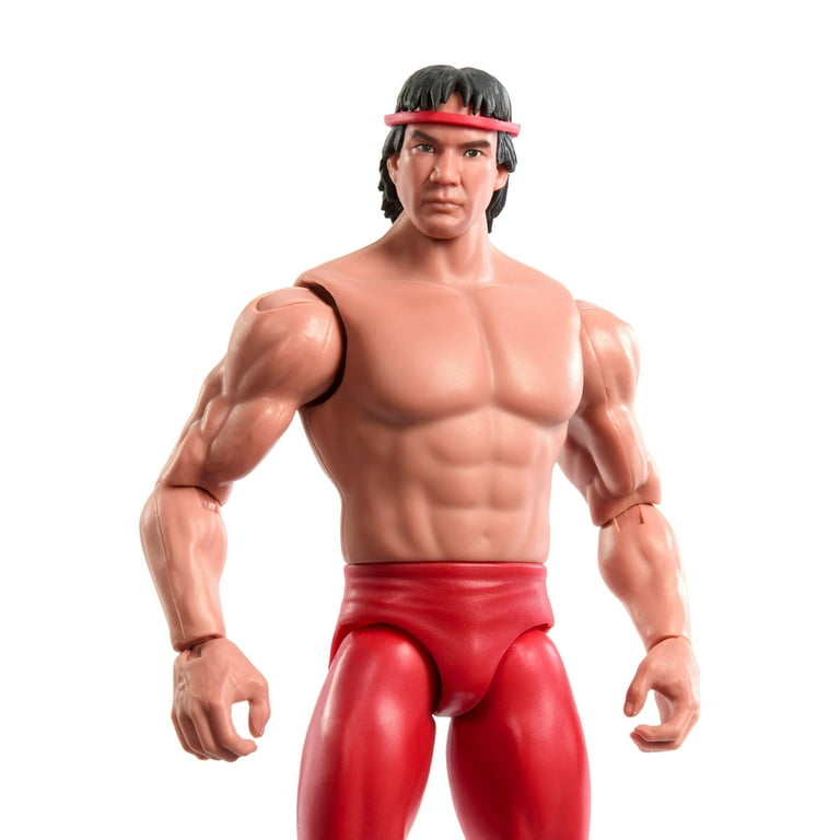 Amazon.co.jp: WWE リッキー・スティムボート ザ・ドラゴン [DVD