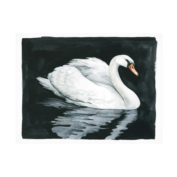 Canvas Wall Art - Grace Popp 'Midnight Swim II' Wall Art for Living Room, Bedroom, or Office Décor by Trademark Fine Art - 19 x 14 Inches