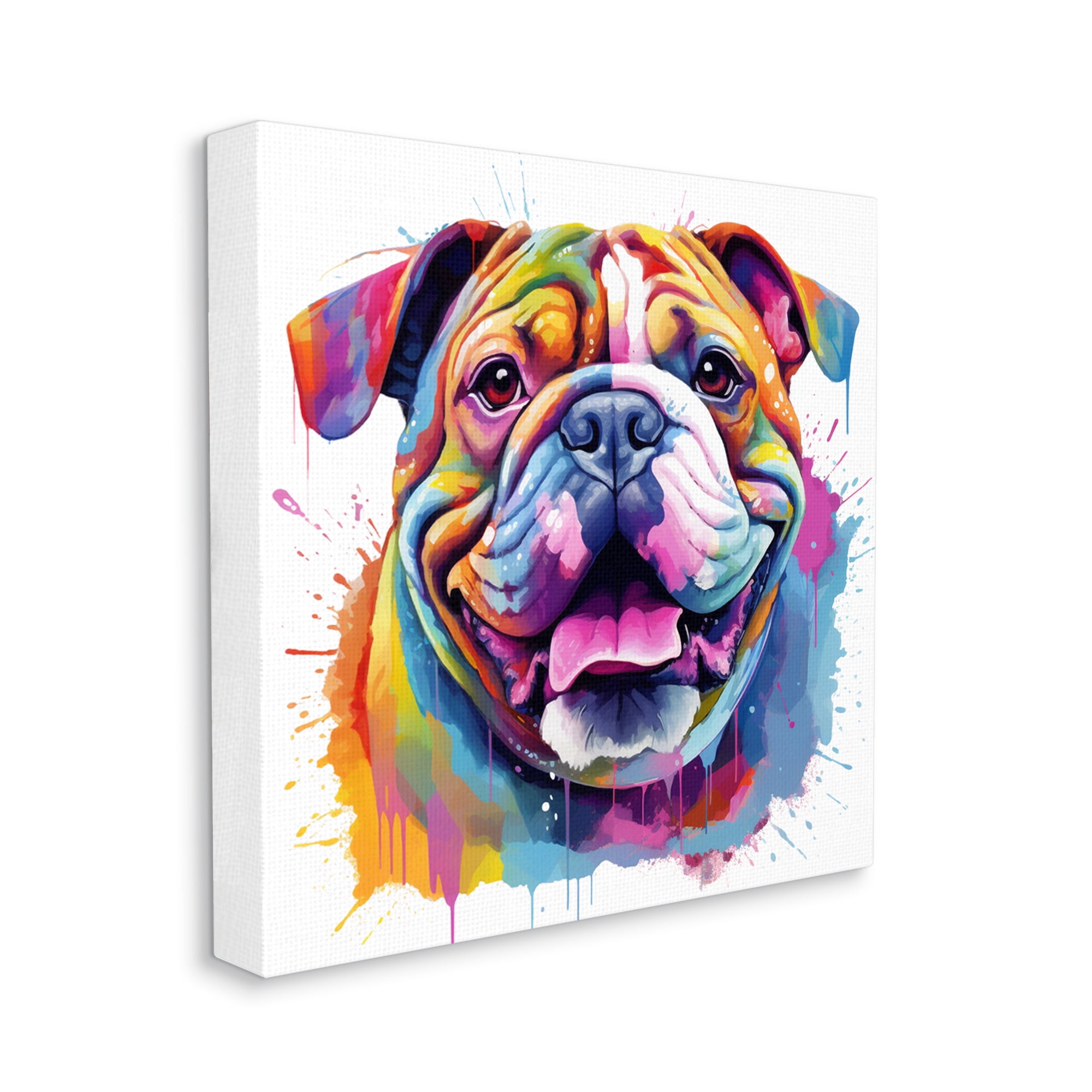 Stupell Industries Bulldog with Modern Splash Animals & Insects Painting Gallery Wrapped Canvas Art Print Wall Art, 36 x 36