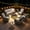 Dark Gray, variant on ODELIO 8-Piece Wicker Patio Furniture Set, PE Rattan Outdoor Conversation Set with Swivel Rocking Chairs & Solar LED Coffee Table, Patio Sectional Seating for Backyard, Beige