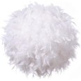 thumbnail image 1 of JFBUJC Feather Light Shade For Ceiling Pendant Light 30cm Fluffy Lamp Shade Lampshade Lightshade For Lamp, 1 of 5