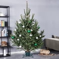thumbnail image 2 of Northlight Green Live Christmas Tree Stand - For Trees up to 9ft Tall, 2 of 3