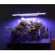 hygger - Luz LED para acuario, para tanque de peces, iluminación de