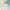 Blue Yellow, variant on TWINNIS Area Rugs Floral Boho Rug Floor Carpet for Living Room Bedroom,4'x6',Cream White