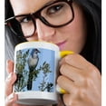 thumbnail image 2 of 3drose, Florida. Scrub Jay Bird - Na02 Aje0252 - Adam Jones, 11oz Two-tone Yellow Mug, 2 of 6