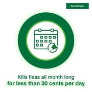 Advantage Topical Flea Treatment & Prevention For Small Cats 2-9 lbs. (2 Count)
