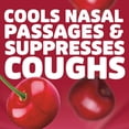 thumbnail image 5 of HALLS Cough and Throat Relief Cherry Cough Drops, No Synthetic Dyes, FSA/HSA Eligible, 30 Drops, 5 of 13