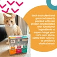 thumbnail image 4 of "I and love and you" Feed Meow Wet Cat Food, Tummy Formula with Tuna and Pumpkin, 3oz Pouches, 12 Pack, 4 of 7