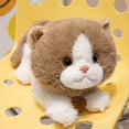 thumbnail image 1 of SNNROO 11.81 Inch Party Model Simulation Cat Valentine‘s Day Gift  Soothing Children‘s Toy Throw Pillow Birthday Gift, 1 of 6