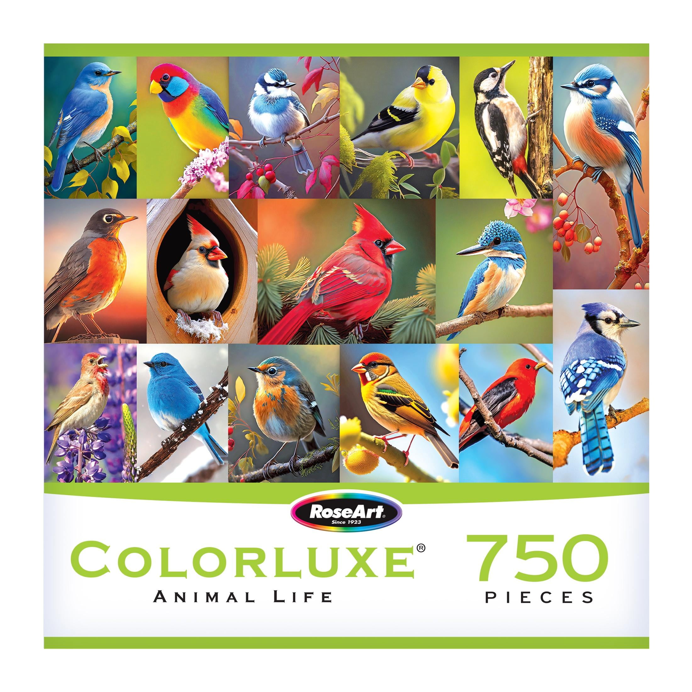 RoseArt Colorluxe 750-Piece Birds of a Feather Adult Interlocking