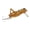 E, variant on 2 Pack Fishing Lures Top Fishing Freshwater Saltwater Glow In The Dark For Trout Anglers