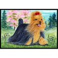 thumbnail image 1 of Carolines Treasures SS8188JMAT Yorkie Paillasson Intérieur Ou Extérieur - 24 x 36 Po., 1 of 4