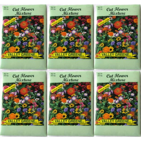 Valley Greene (6 Pack) 300 mg/Package Cut Flower Mixture Heirloom Variety (Best Heirloom Seed Packages)