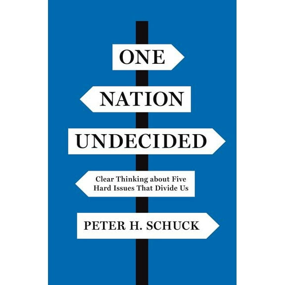 One Nation Undecided: Clear Thinking about Five Hard Issues That Divide Us, (Paperback)