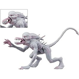 【NECA】エイリアン　KANE　フィギュア Alien – 7” Scale Action Figure – 40th Anniversary Kane