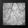 thumbnail image 2 of Peck, Gail 12x12 Black Modern Framed Museum Art Print Titled - Blossoms on Gray I, 2 of 5