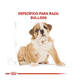 thumbnail image 3 of Combo Royal Canin Bhn Bulldog Puppy 13.6 Kg MAS Dos Latas Royal Canin Adulto 385 gr, 3 of 3