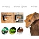 thumbnail image 4 of Comedero para cría de insectos con dispensador de agua montado en la pared para reptiles, arañas y lagartos, 4 of 8