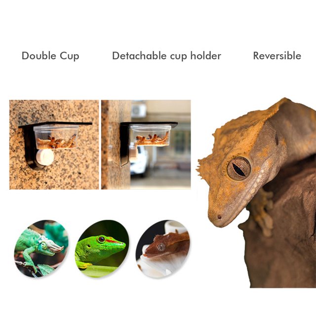 Cuenco De Comida Para Reptiles, Contenedor De Cría De Insectos, Dispensador De Agua Para Colgar En La Pared Para Arañas, Lagartos ANGGREK Reptile Food Bowl