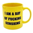thumbnail image 2 of Rayon de F****** Mug 22 Onces de Soleil, 2 of 4