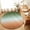 Green, variant on Entryway Rug 2'x3', Teal Red Brown Ombre Kitchen Runner Rugs Non-Slip Carpet Mats, Contemporary Gradient Abstract Bedside Rugs Runners Washable Floor Carpet for Bathroom Laundry Room