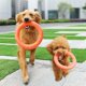 thumbnail image 4 of Juguete para Perros Disco Flotante para Perros Goma Indestructible 2 Piezas, 4 of 5