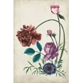 thumbnail image 2 of Wang, Melissa 23x32 Gold Ornate Wood Framed with Double Matting Museum Art Print Titled - Antique Peony II, 2 of 4