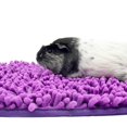 thumbnail image 1 of Chenille Pet Blanket Soft Universal Warm Rabbit Sleeping Pad Guinea Blanket, 1 of 2