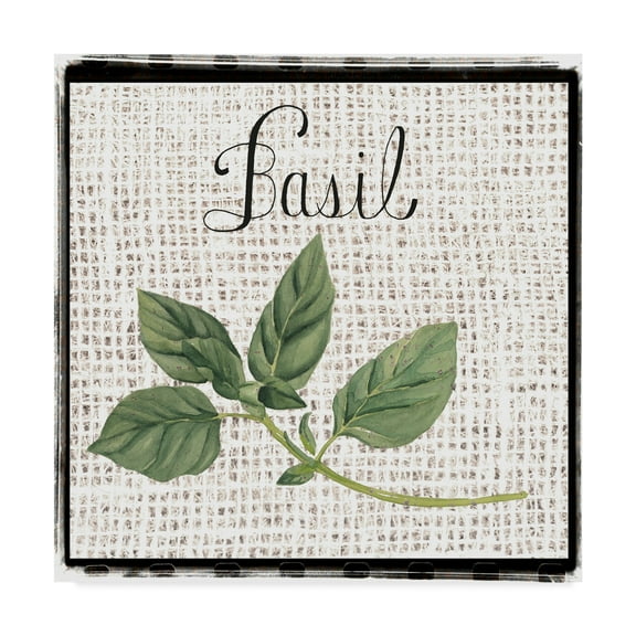 Trademark Fine Art 'Burlap Herbs V' Canvas Art by Grace Popp