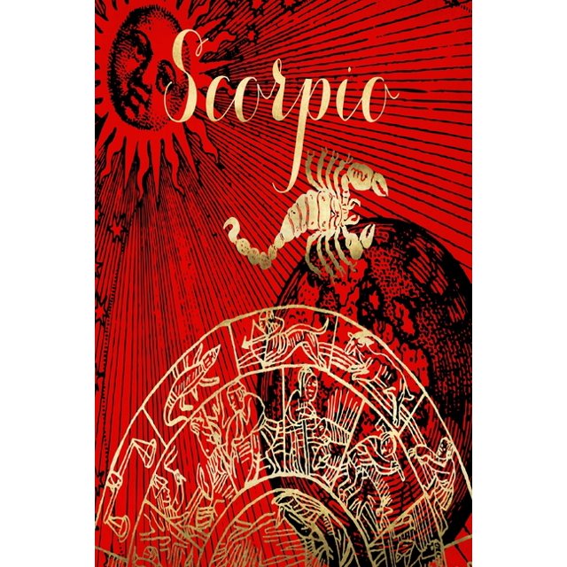 2020 Daily Planner Scorpio Symbol Astrology Zodiac Sign Horoscope 388
