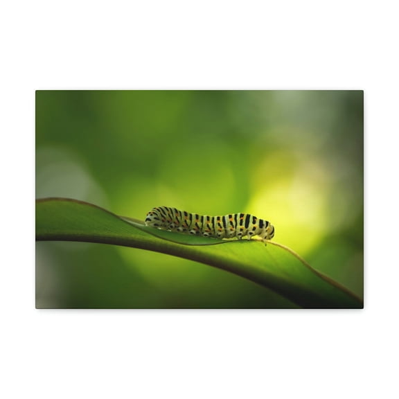Majestic Caterpillar Art Majestic Caterpillar Print Animal Wall Art Wildlife Canvas Prints Wall Art Ready to Hang Unframed