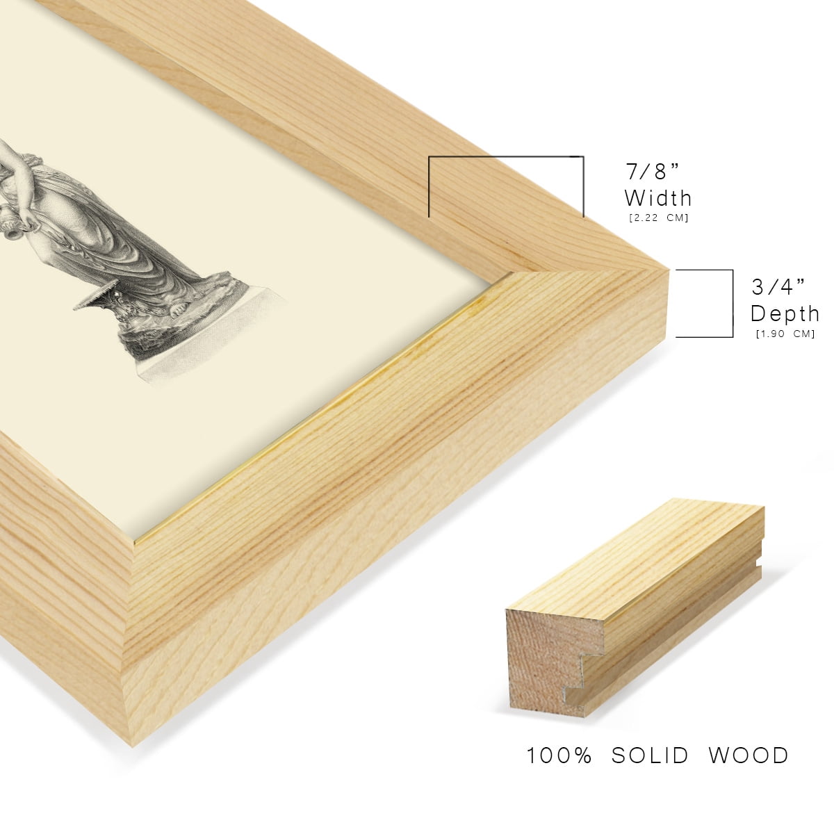 Classical Statuary II -Framed Print w/glass-Natural Wood