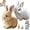 2Pcs-B, variant on Guvpev 2Pcs Bunby - My Realistic Bunny Toys, Interactive Realistic Rabbit Toys That Moves, Jumping, Twitching & Shaking Ears, Easter Bunny Stuffed Animal, Easter Decorations Bunny Dolls, Unique Gifts