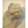 thumbnail image 2 of George Richmond 12x14 Gold Ornate Wood Frame and Double Matted Museum Art Print Titled - Study of a Tree (Possibly 1848), 2 of 4