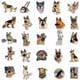 thumbnail image 2 of 50pcs Pet Dog Stickers Cute Animal Dog Stickers Cute Cartoon Waterproof Vinyl Latop Stickers for Laptop Cars Luggage Water Bottle hydroflasks Gift for, 2 of 4