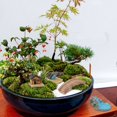 thumbnail image 6 of Deago 10 Pcs Fairy Garden Accessories Outdoor Miniature Garden Decorations Fairy Garden Supplies for Garden Patio Micro Landscape Yard Bonsai Decoration, 6 of 9