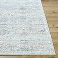 thumbnail image 2 of BoutiqueRugs Cheree Traditional Area Rug - Silver Gray, Slate Blue, Metallic Silver - 5'3" x 7', 2 of 7