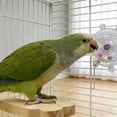 thumbnail image 4 of ONFD Interactive Parrot Stress Relieving A Bird For Intellectual Stimulation And Boredom, 4 of 5