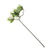 thumbnail image 1 of Tallo de gardenia artificial, flores de seda, hojas para decoración del hogar, boda, fiesta, 4 colores, 1 of 6