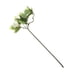 thumbnail image 1 of Flores artificiales de gardenia de látex para bodas, 4 colores, 1 of 6